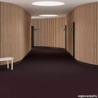 6-RF5575223.webp thumb image