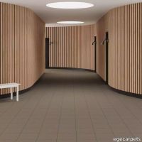 6-RF5575312.webp thumb image