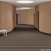 6-RF5575322.webp thumb image