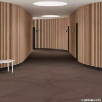 6-RF5575332.webp thumb image