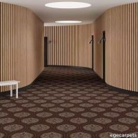 6-RF5575434.webp thumb image