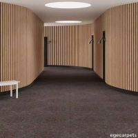 6-RF5575504.webp thumb image