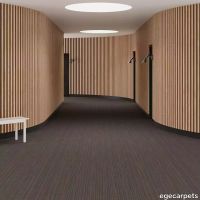 6-RF5575505.webp thumb image