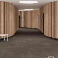 6-RF5575507.webp thumb image