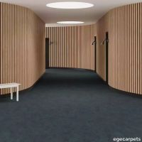 6-RF5575516.webp thumb image