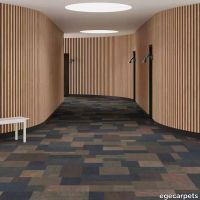 6-RF5575526.webp thumb image