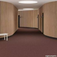 6-RF5575536.webp thumb image