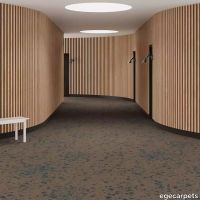 6-RF5575539.webp thumb image