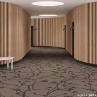 6-RF5575602.webp thumb image