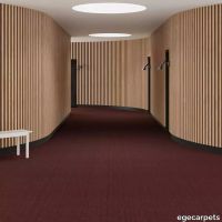 6-RF5575803.webp thumb image