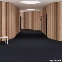 6-RF5595112.webp thumb image