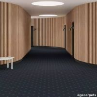 6-RF5595405.webp thumb image
