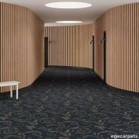6-RF5595409.webp thumb image