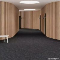 6-RF5595501.webp thumb image