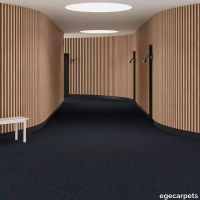 6-RF5595509.webp thumb image
