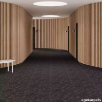 6-RF5595512.webp thumb image