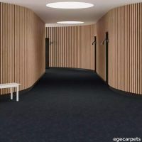 6-RF5595513.webp thumb image