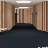 6-RF5595520.webp thumb image