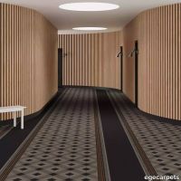 6-RF5595812.webp thumb image