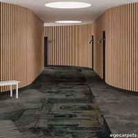 6-RF5595825.webp thumb image