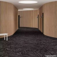 6-RF5500147.webp thumb image