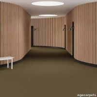 6-RF55001912.webp thumb image