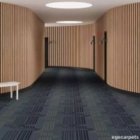 6-RF55001979.webp thumb image