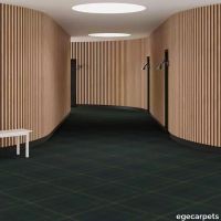 6-RF5500296.webp thumb image