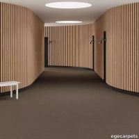6-RF5500542.webp thumb image