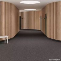 6-RF5500557.webp thumb image