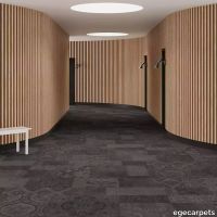 6-RF5500559.webp thumb image