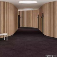 6-RF5500560.webp thumb image