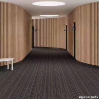 6-RF5500564.webp thumb image