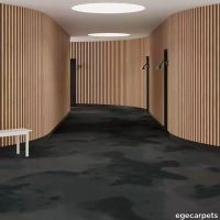 6-RF5500565.webp thumb image