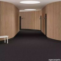 6-RF5500583.webp thumb image
