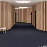6-RF5500585.webp thumb image