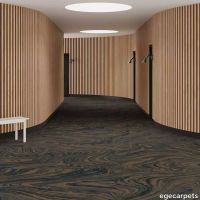 6-RF5500587.webp thumb image