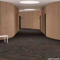 6-RF5500588.webp thumb image