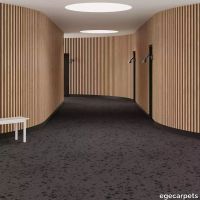6-RF5500589.webp thumb image