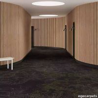 6-RF5500501.webp thumb image