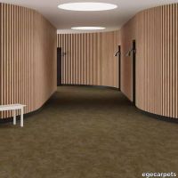 6-RF5500505.webp thumb image