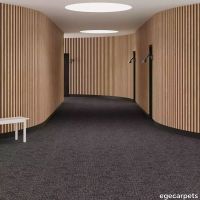 6-RF5500509.webp thumb image