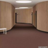 6-RF5500511.webp thumb image