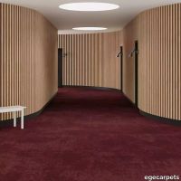 6-RF5500514.webp thumb image