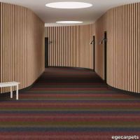 6-RF5500516.webp thumb image