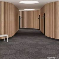 6-RF5500529.webp thumb image