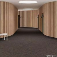 6-RF5500531.webp thumb image
