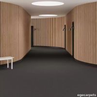 6-RF5500536.webp thumb image