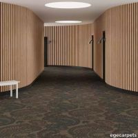 6-RF5500537.webp thumb image