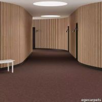 6-RF5500538.webp thumb image
